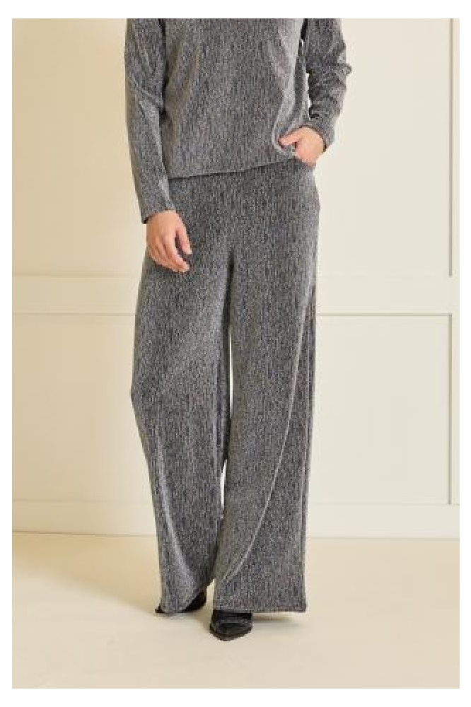 FOS Amsterdam zilveren dames broek | Model vooraanzicht