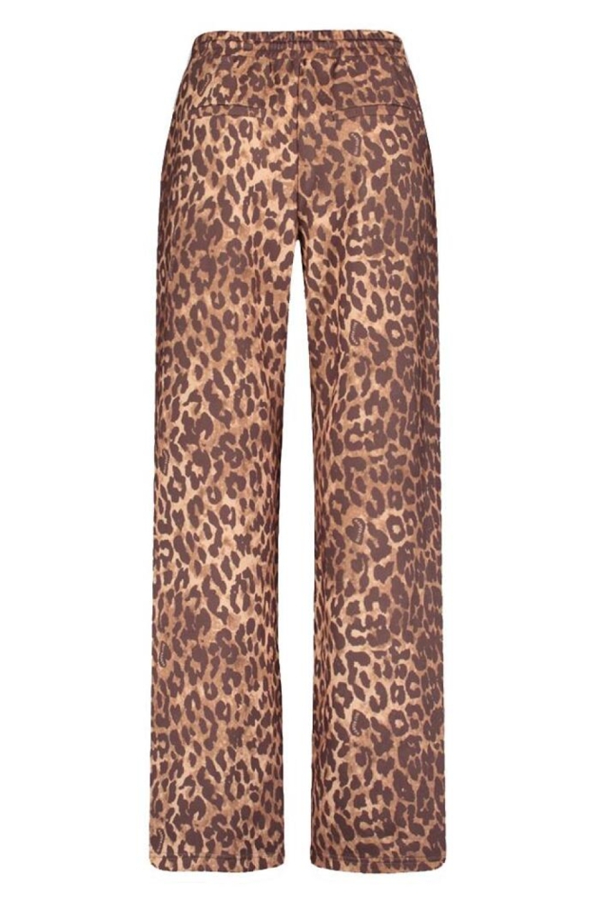 Harper & Yve camel dames broek | Achteraanzicht