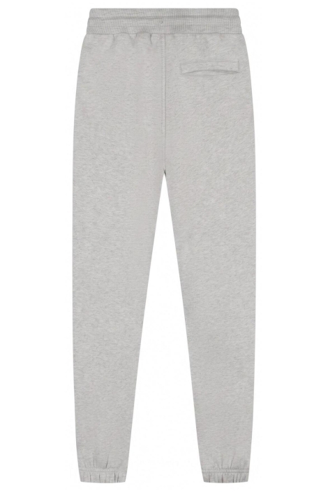 Malelions grijze heren broek | Achteraanzicht