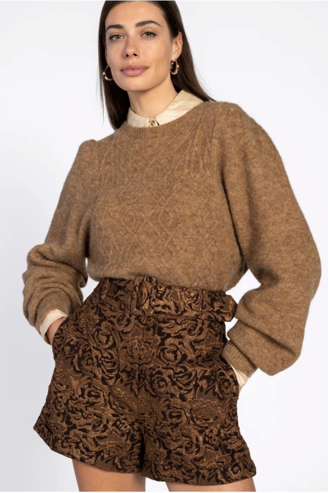 Aaiko koperen dames korte broek | Model