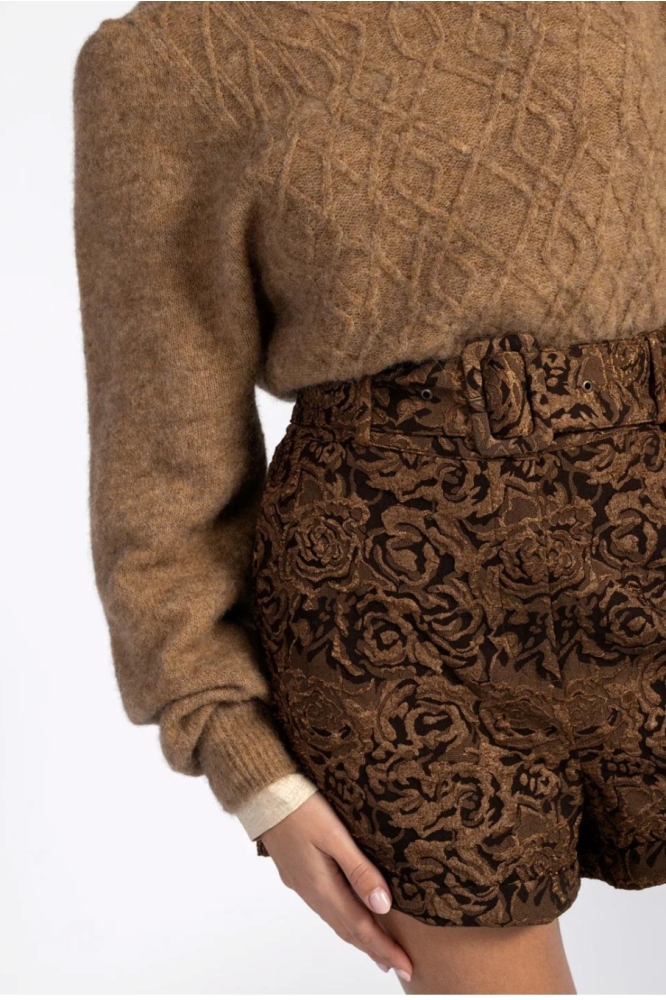 Aaiko koperen dames korte broek | Close up