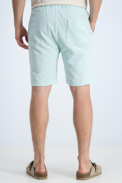 Gabbiano groene heren korte broek | Model achteraanzicht