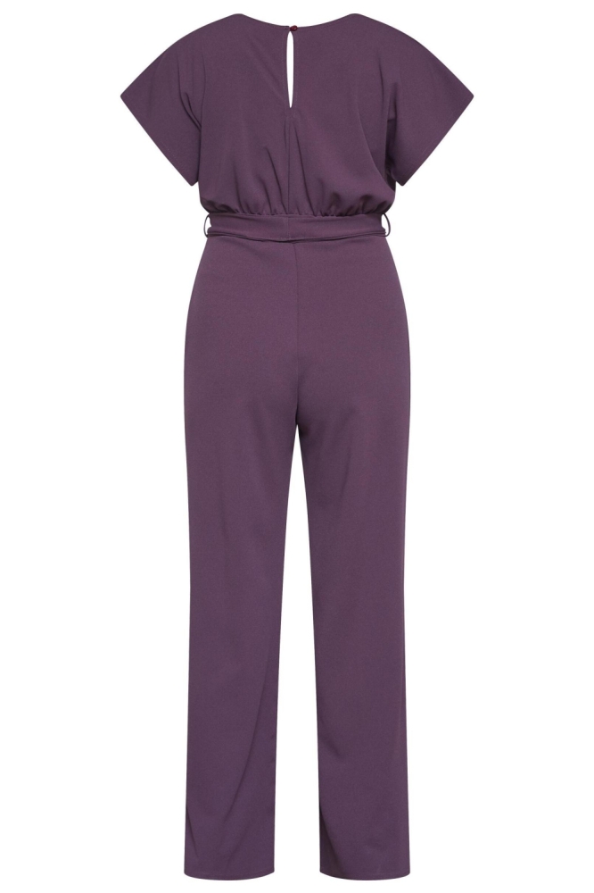 SisterS point bordeaux dames jumpsuit | Achteraanzicht