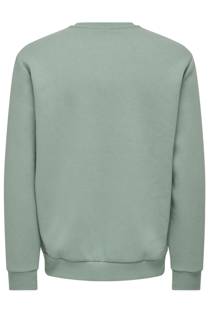Only & Sons groene heren sweater | Achteraanzicht