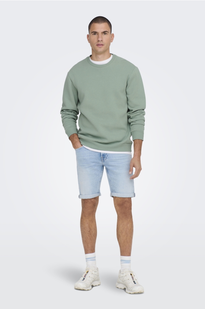 Only & Sons groene heren sweater | Model