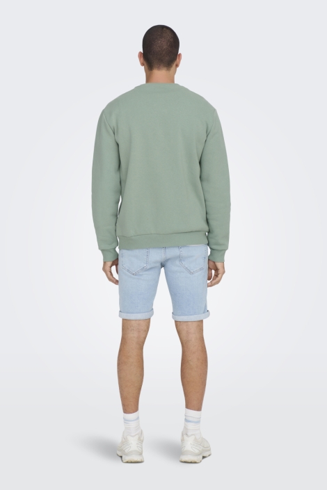 Only & Sons groene heren sweater | Model
