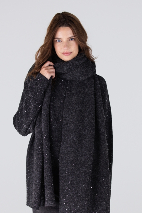 Juffrouw Jansen grijze dames sjaal | Model vooraanzicht