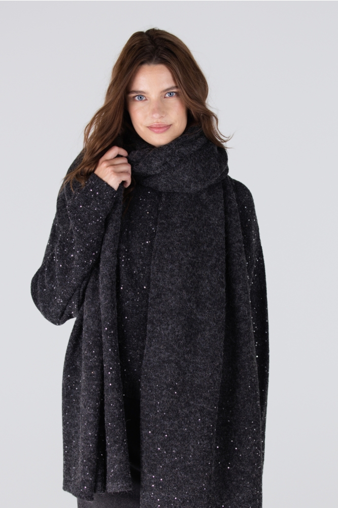 Juffrouw Jansen grijze dames sjaal | Model vooraanzicht