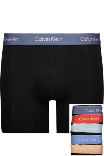 Calvin Klein BOXER BRIEF 5PK LV00NB4395 BVIN, MTN, ST BL, GLCR, M FR WBS
