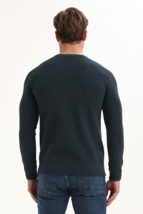 Gabbiano blauwe heren trui | Model achteraanzicht