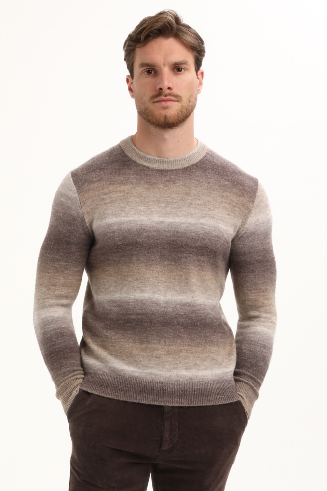 Gabbiano taupe heren trui | Model vooraanzicht