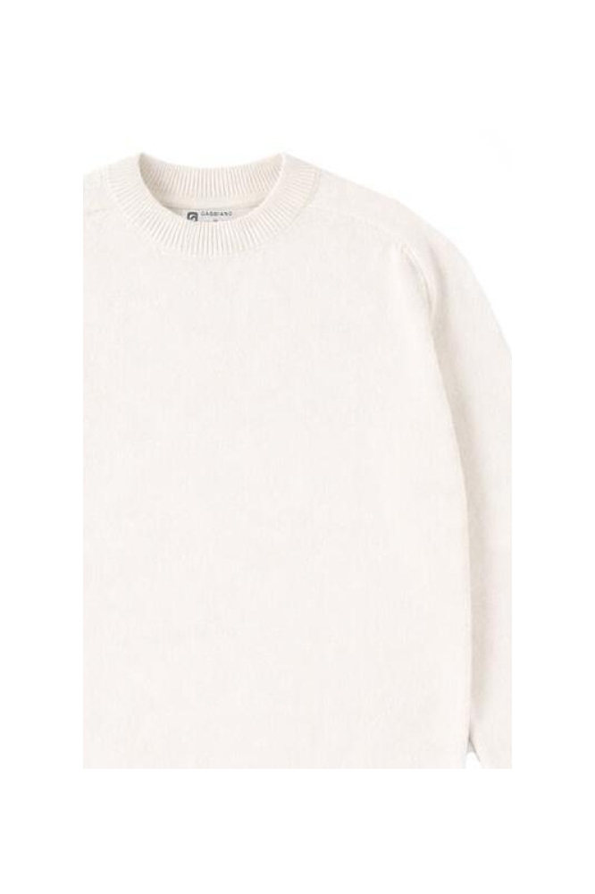 Gabbiano ecru heren trui | Close up