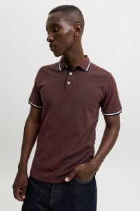 Polo`s